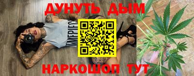Альфа ПВП Будённовск