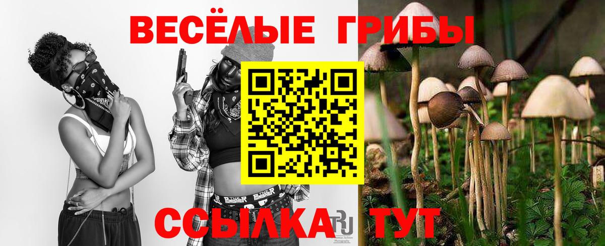 Галлюциногенные грибы ЛСД  Вход с VPN  Туймазы 